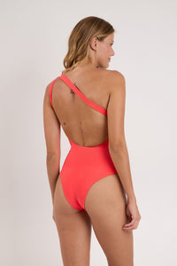 Model Back: Rio De Sol One-Piece Malibu-Folia Sienna